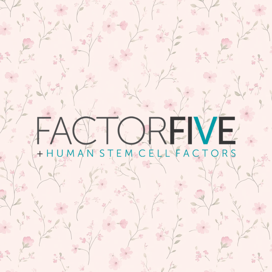 FactorFive